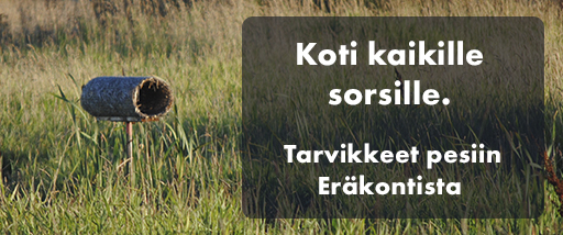 Er&auml;kontti sorsanpes&auml;