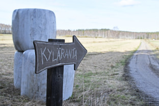 Rantaan ohjaava tienviitta laitumella.