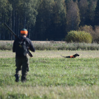 Ampuja ja koira koetilanteessa.