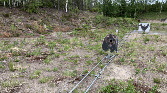 Päin laukkaava karhu on yksi LuotiCompakin liikkuvista maaleista