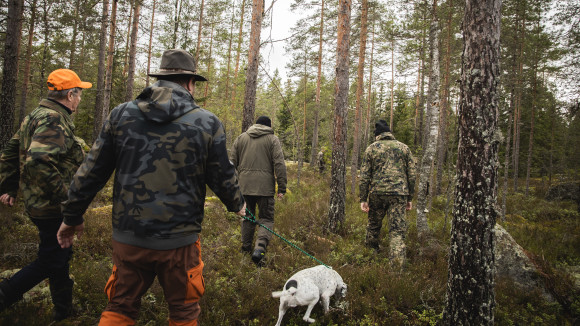 Ennen hakemista metsästysseuraan sen toimintaan kannattaa tutustua talkoissa, kuten esimerkiksi riistakolmiolaskennoissa.