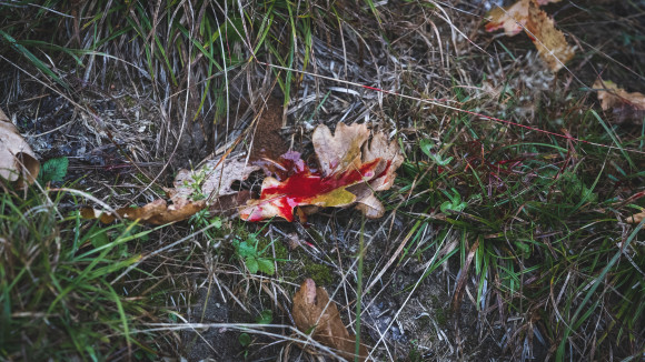 Epäonnistumiset ovat vääjäämättömiä harrastuksen kuin harrastuksen edetessä. Muista kuitenkin nauttia itse tekemisestä ja mitoita tavoitteesi realistisesti.