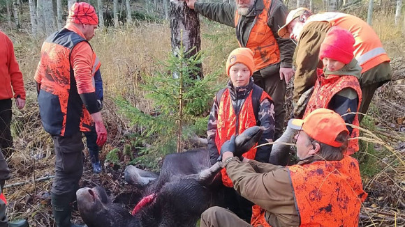 Metsästäjät nylkemässä saaliiksi saatua hirveä.