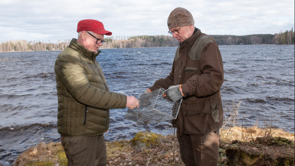 Metsästysseuran puheenjohtaja Pekka Stenbacka (vas.) ja Petri Passila tarkastelevat verkkoloukkua.