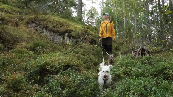Laura Hiisivuori ja koirat Milla ja Sonja metsälenkillä.