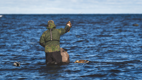 Förhållandena till havs kan avvika avsevärt från sjöfågeljakten i inlandet.