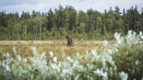 Mets&auml;st&auml;j&auml; n&auml;ytt&auml;&auml; saaliiksi saatua hein&auml;sorsaa.