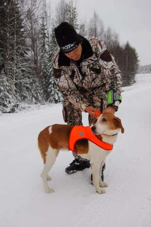 Suurin osa koirista nauttii ulkoilusta pakkasella, kunhan lenkit mitoitetaan sään ja koiran kylmänkestävyyden mukaan. Kuvaaja: Ere Grenfors