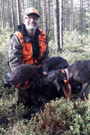 Pohjois-Karjalan karhukanta kasvaa, ja osa otsoista tekee tuhojaan viljelyksillä ja karja-aitauksissa. Kuvassa Mika Piiroinen ja kaatamansa häirikkökarhu.