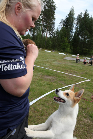 Minttu Valtanen ja Myy.