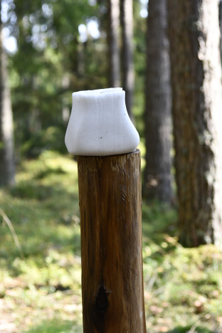 Saltsten i skogen