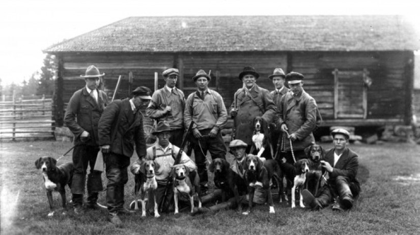 I Finland fanns en mångfärgad jakthund, av vilken man började förädla olika raser systematiskt i slutet av 1800-talet. Jaktföreningen Viipurin Riistamiehet med stövare i Pulsa i Villmanstrand 1932.