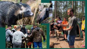 Nuorten Metso-leireillä tutustutaan usein vieraspetopyyntiin, joka on tärkeää luonnonhoitotyötä. Vieraspetopyynti sopii myös nuorille!