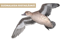 Heinätavi