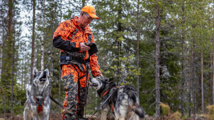 Metsästäjä metsässä kahden koiran kanssa.